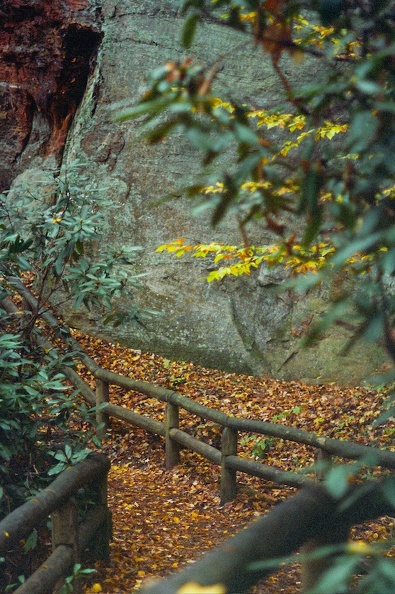 Red River Gorge in Fall.jpg